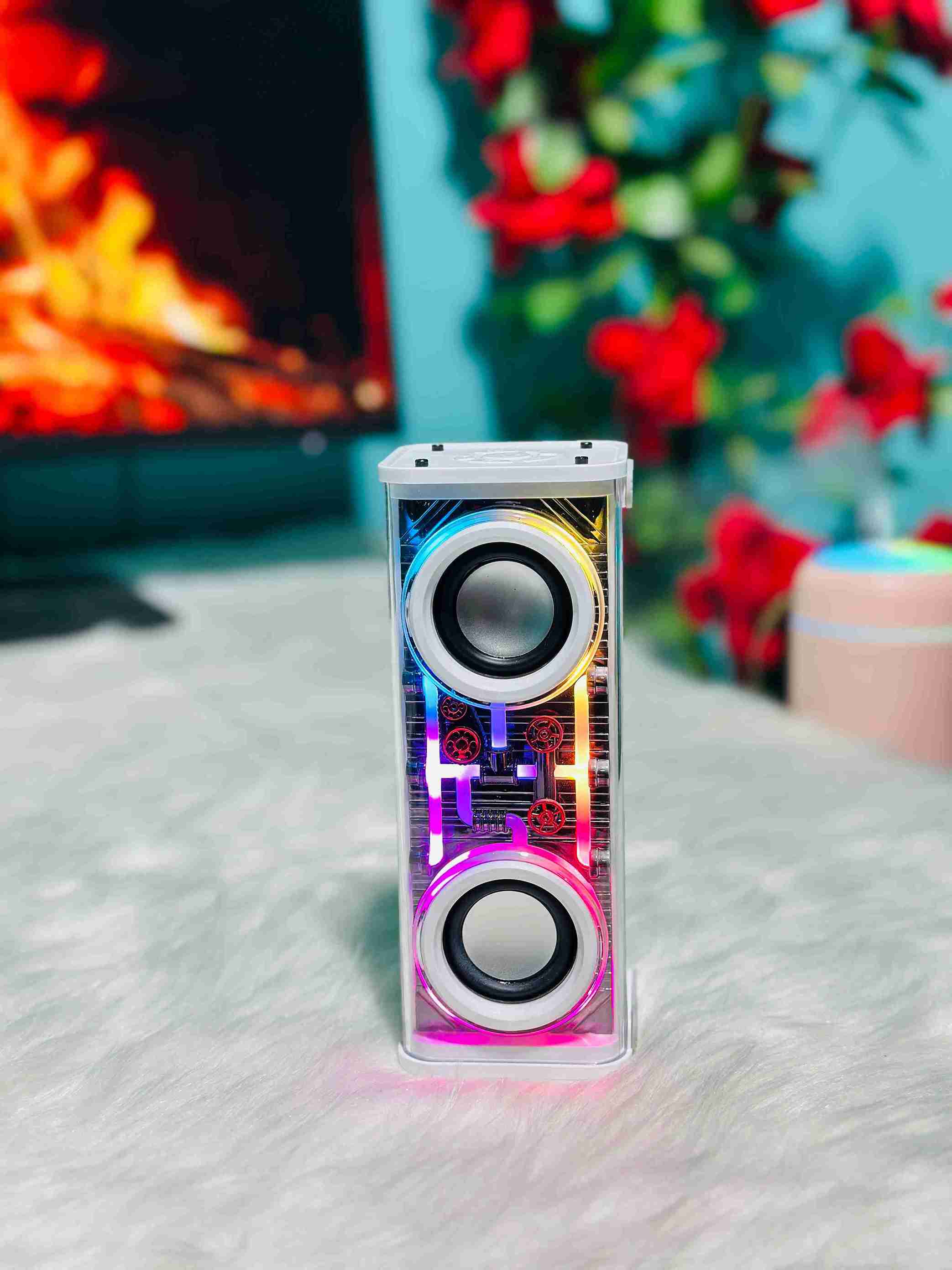 RGB lighting dual speaker